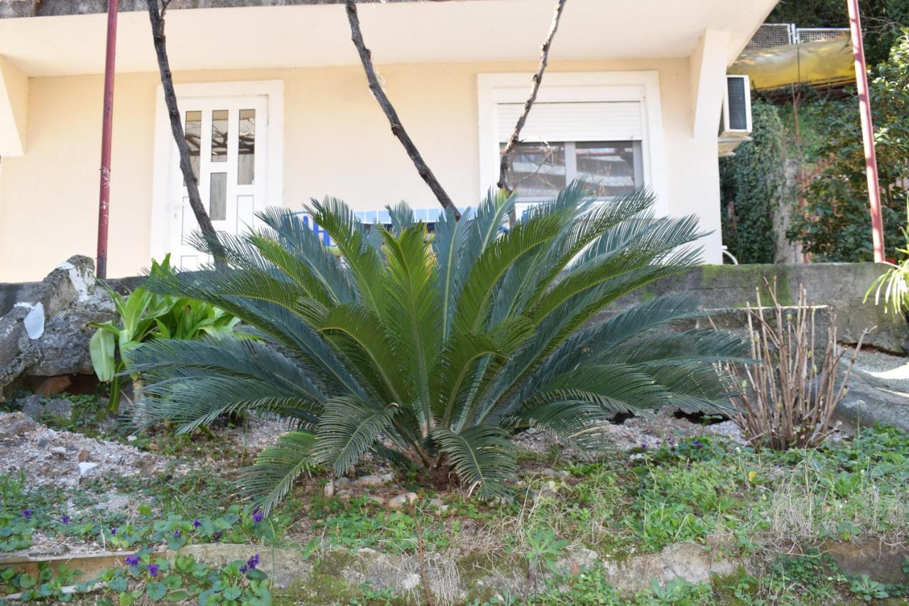 Old Town Studios Budva Exterior foto